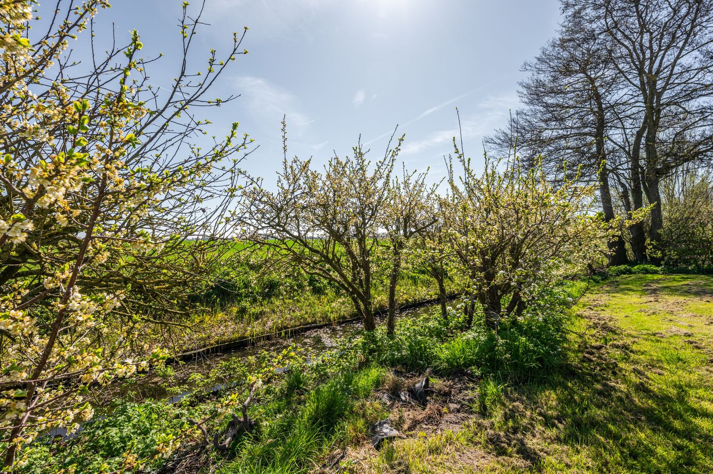 Detached Dike House with Expansive Polder Views and Large Plot Near the Beach — 40