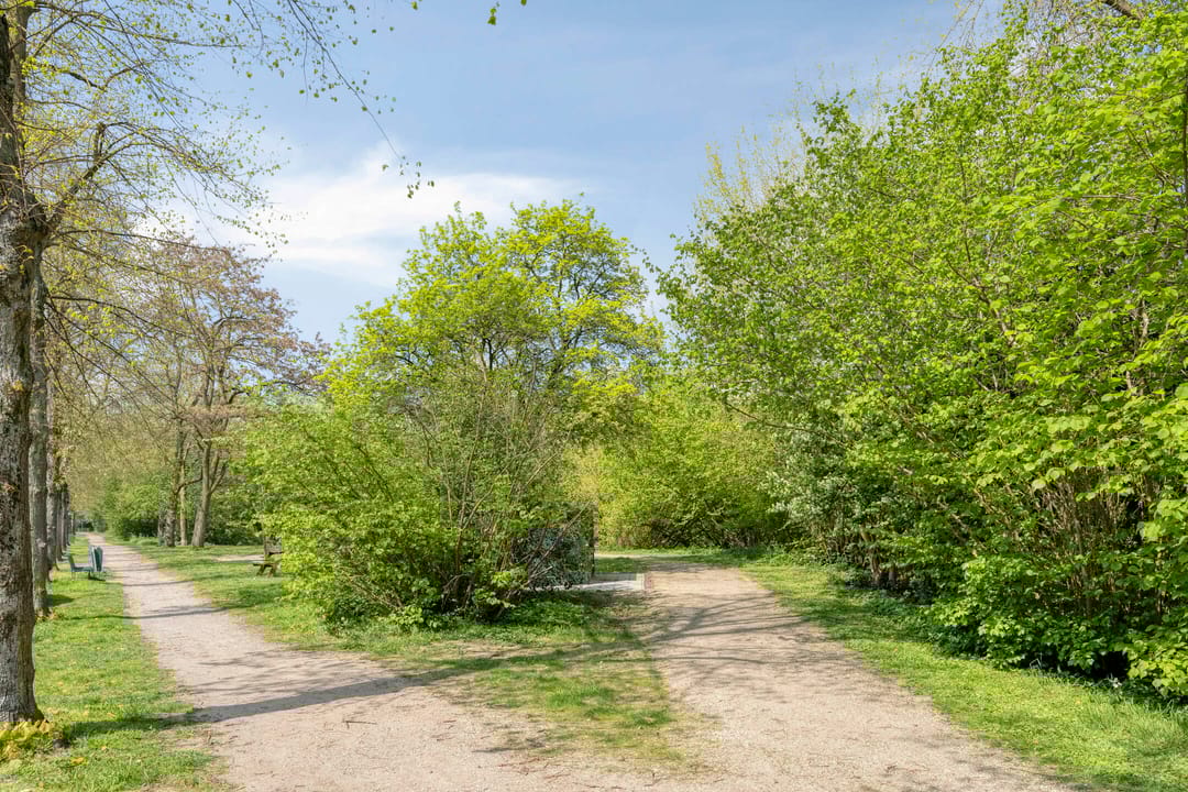 Foto 31 van Coppensstraat 3