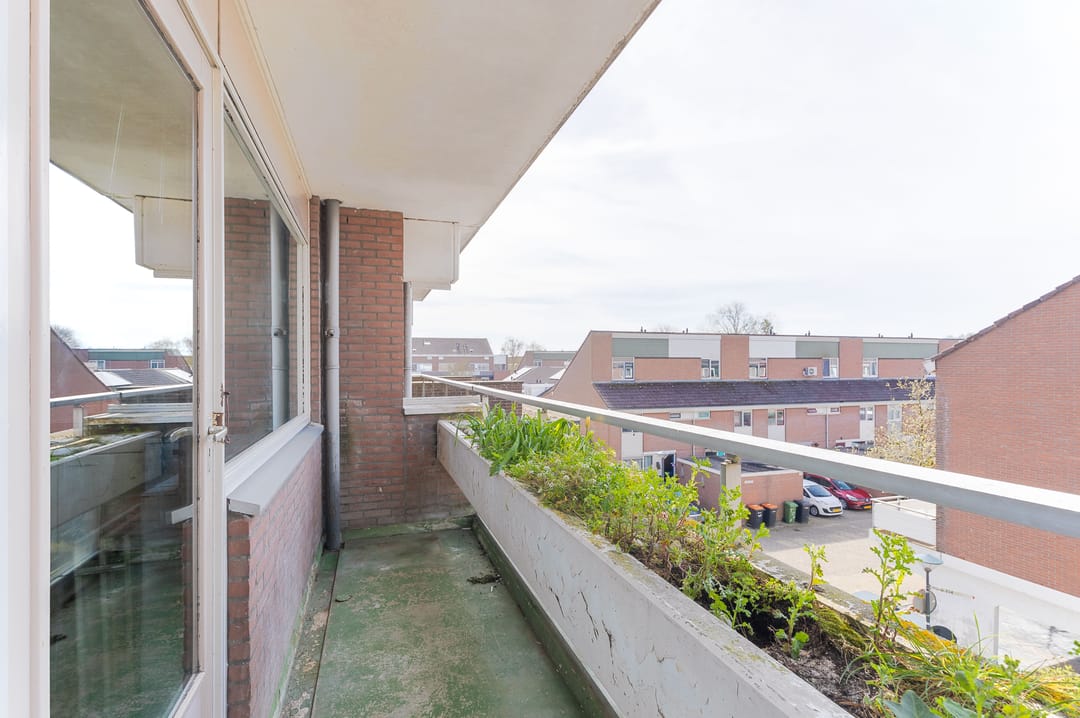 Photo 22 of Poolster 193