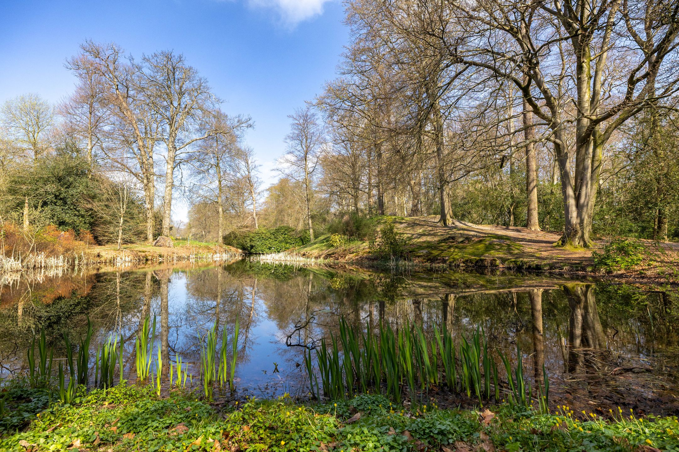 Photo 45 of Merelweg 7