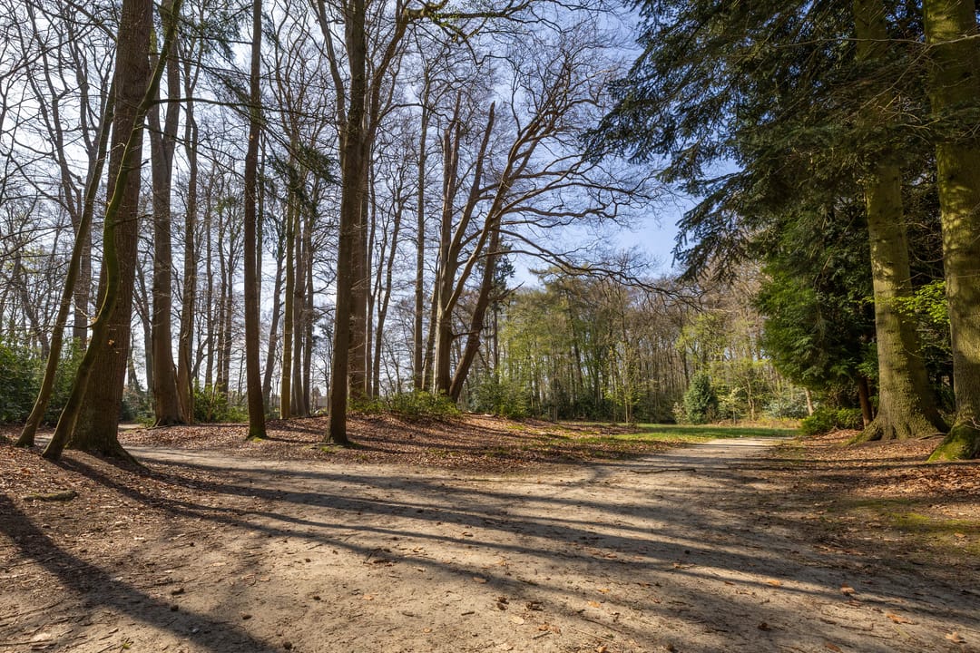 Photo 46 of Merelweg 7