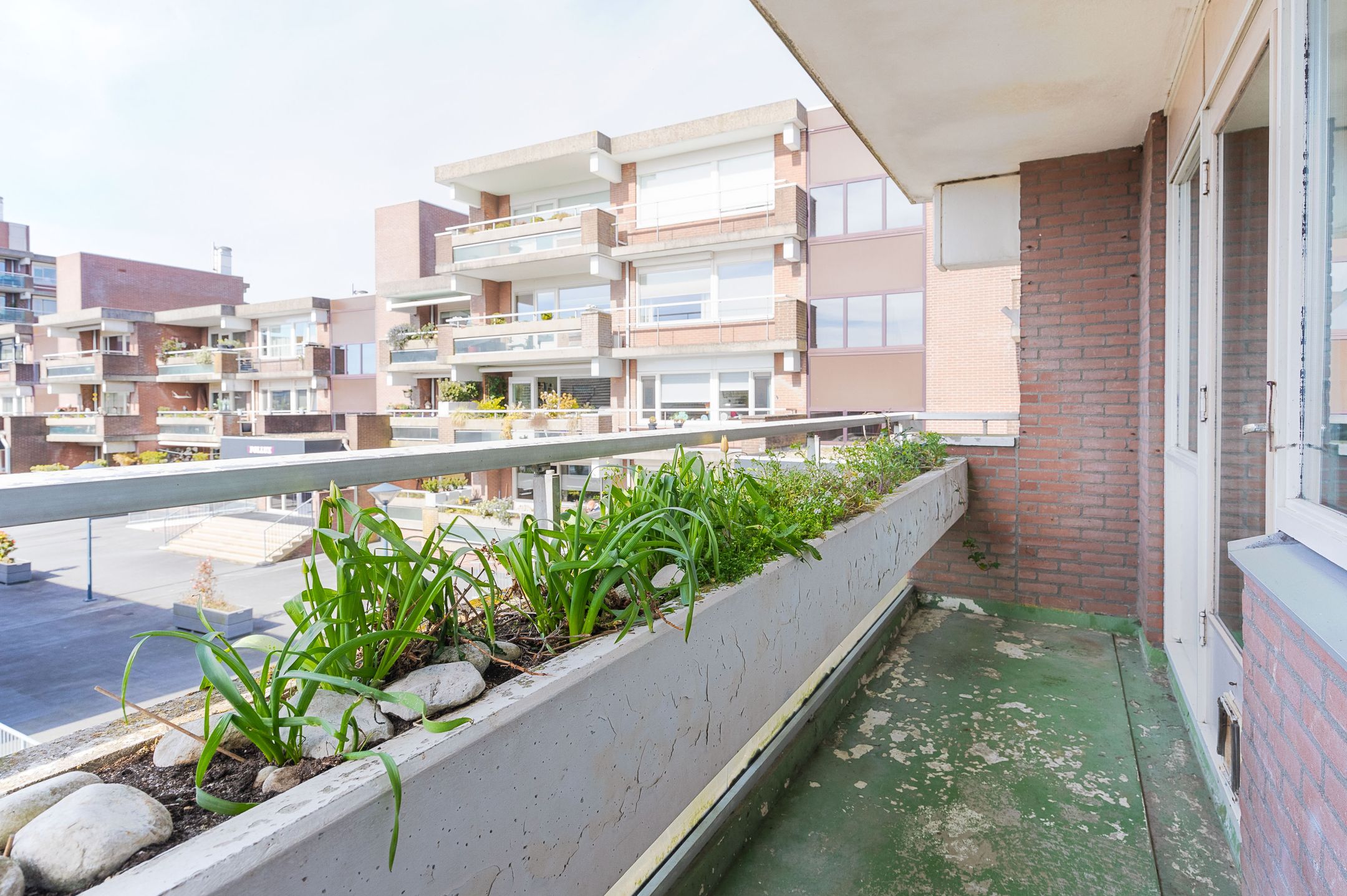 Photo 21 of Poolster 193