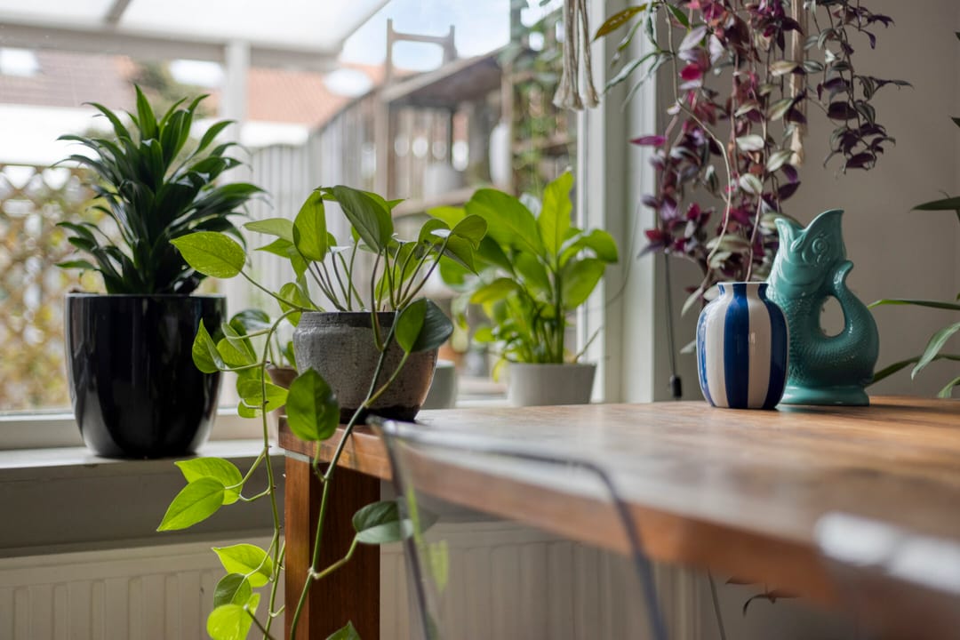 Photo 11 of Maaikensveld 22