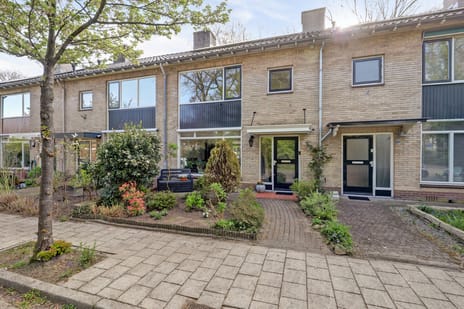 Jacob Catslaan thumbnail