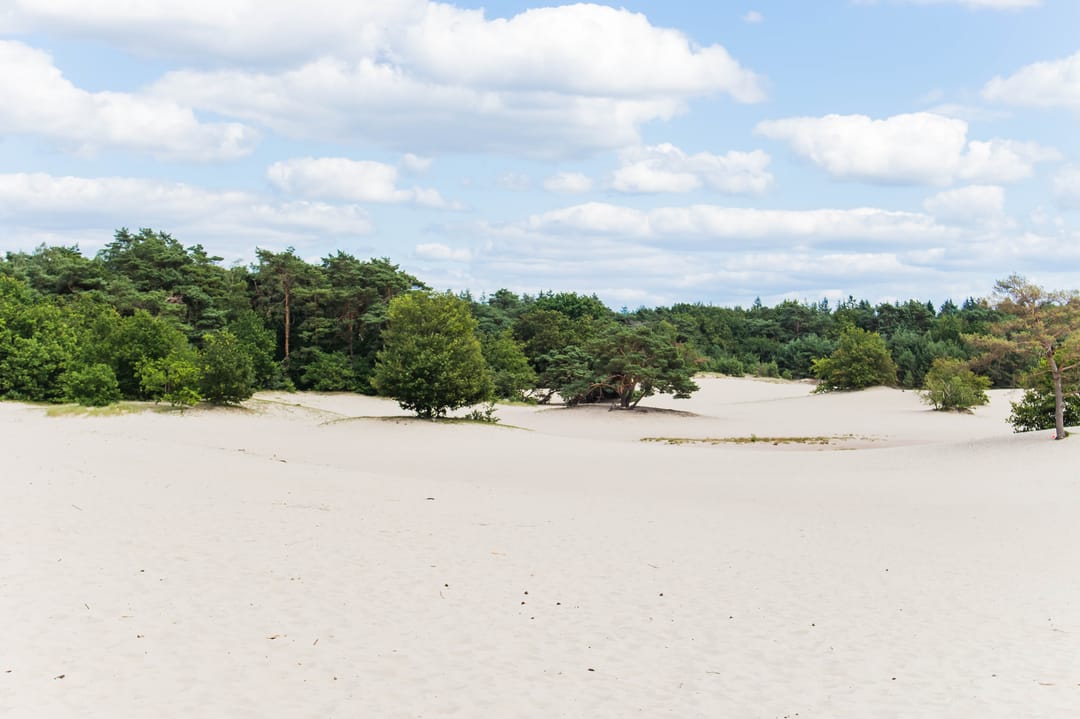 Foto 38 van Jacob Catslaan 27