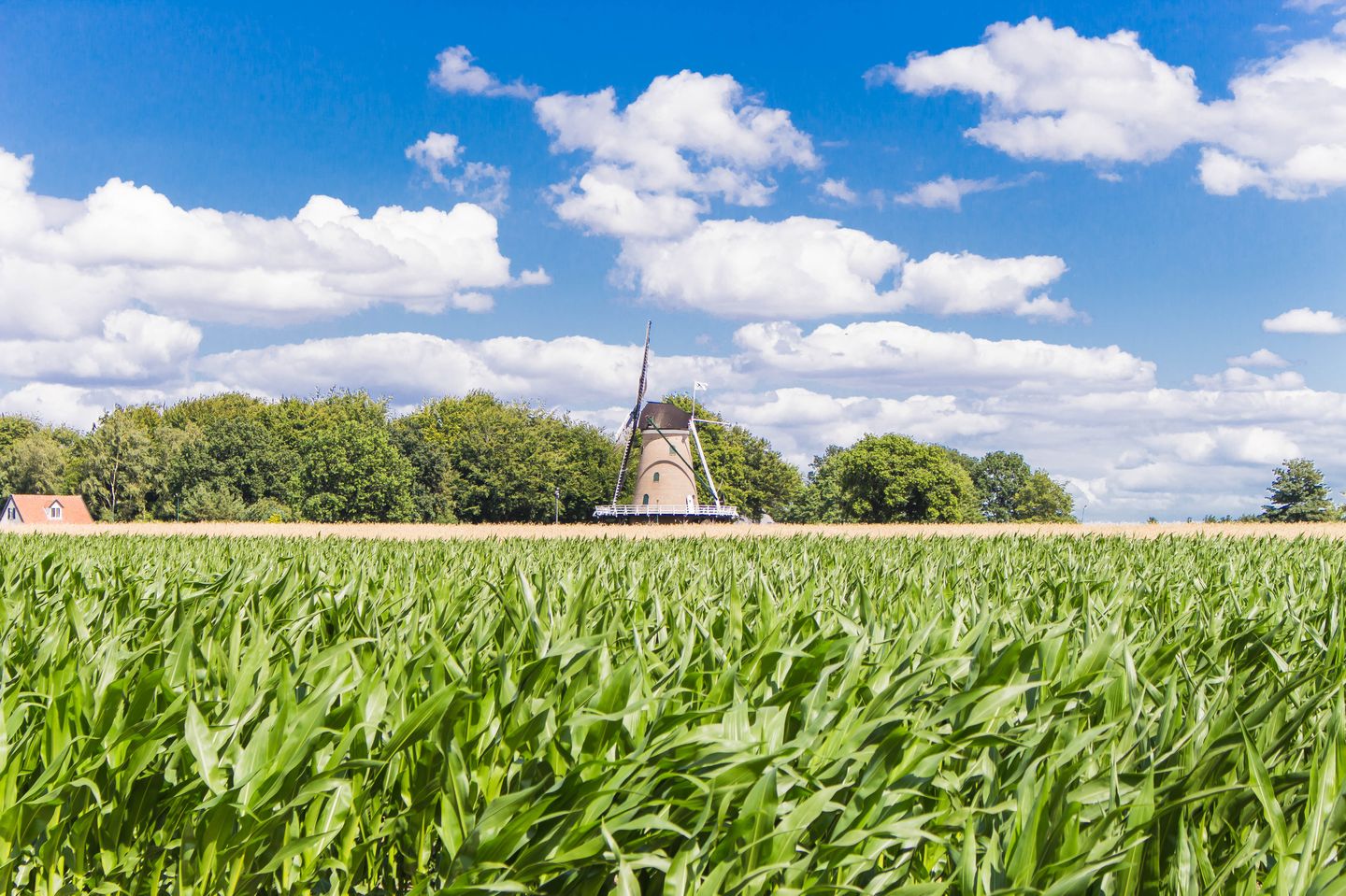 Foto 40 van Jacob Catslaan 27