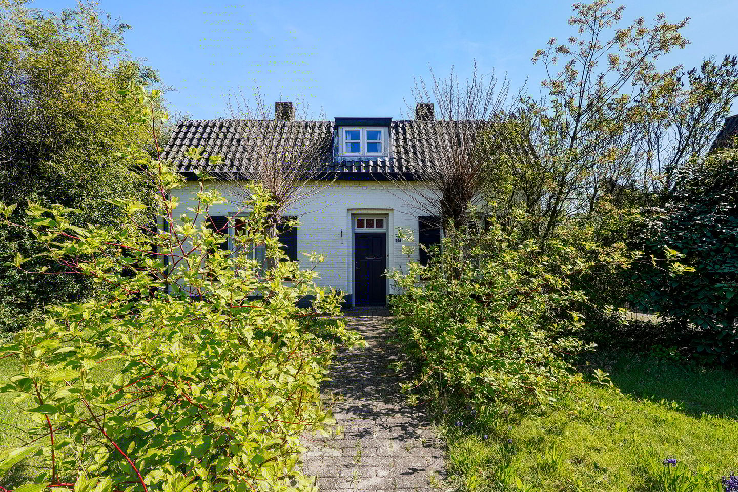 Foto 5 van Molenbergstraat 44