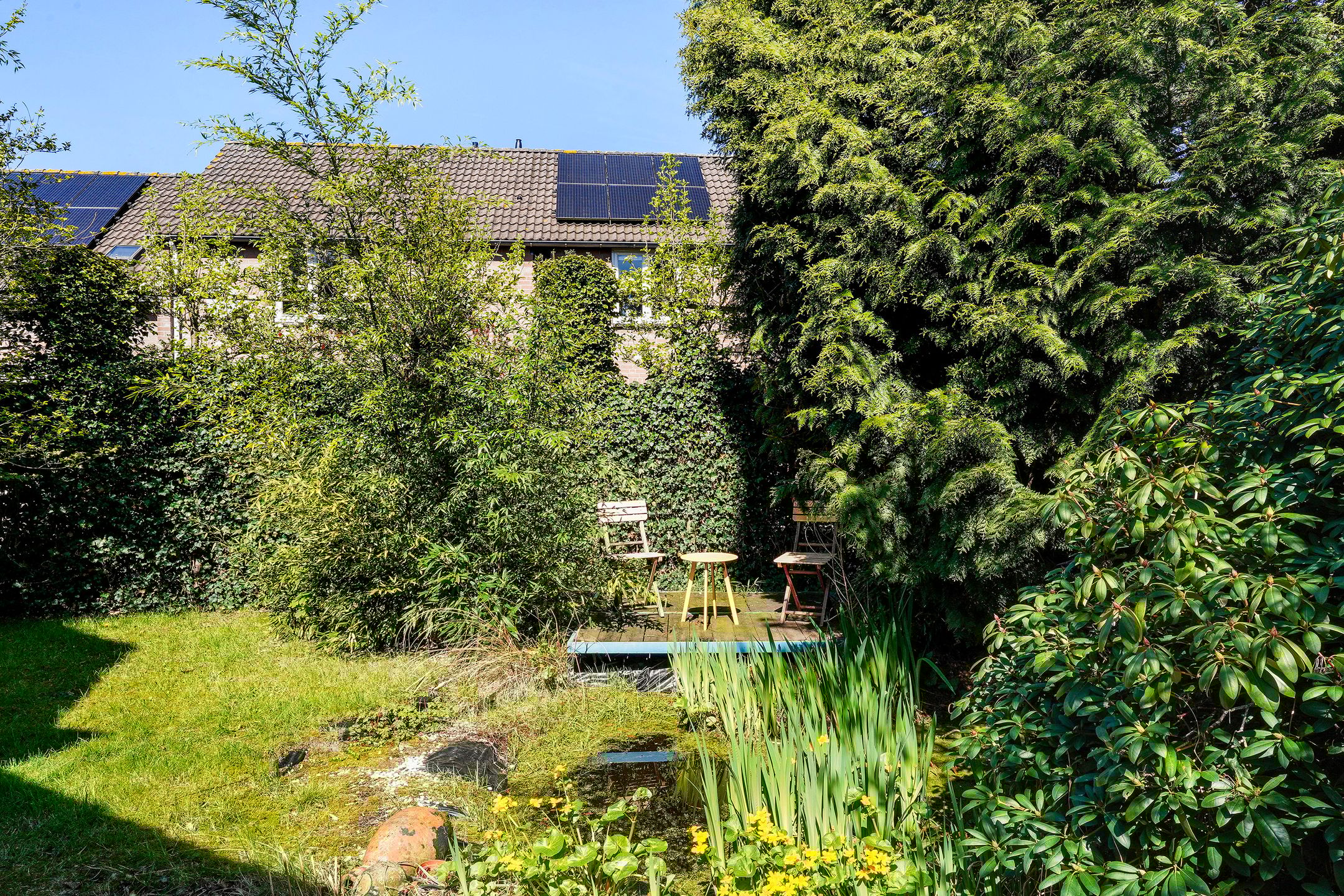 Foto 54 van Molenbergstraat 44