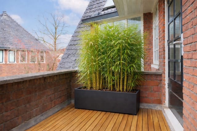 Foto 36 van Fabritiuslaan 2