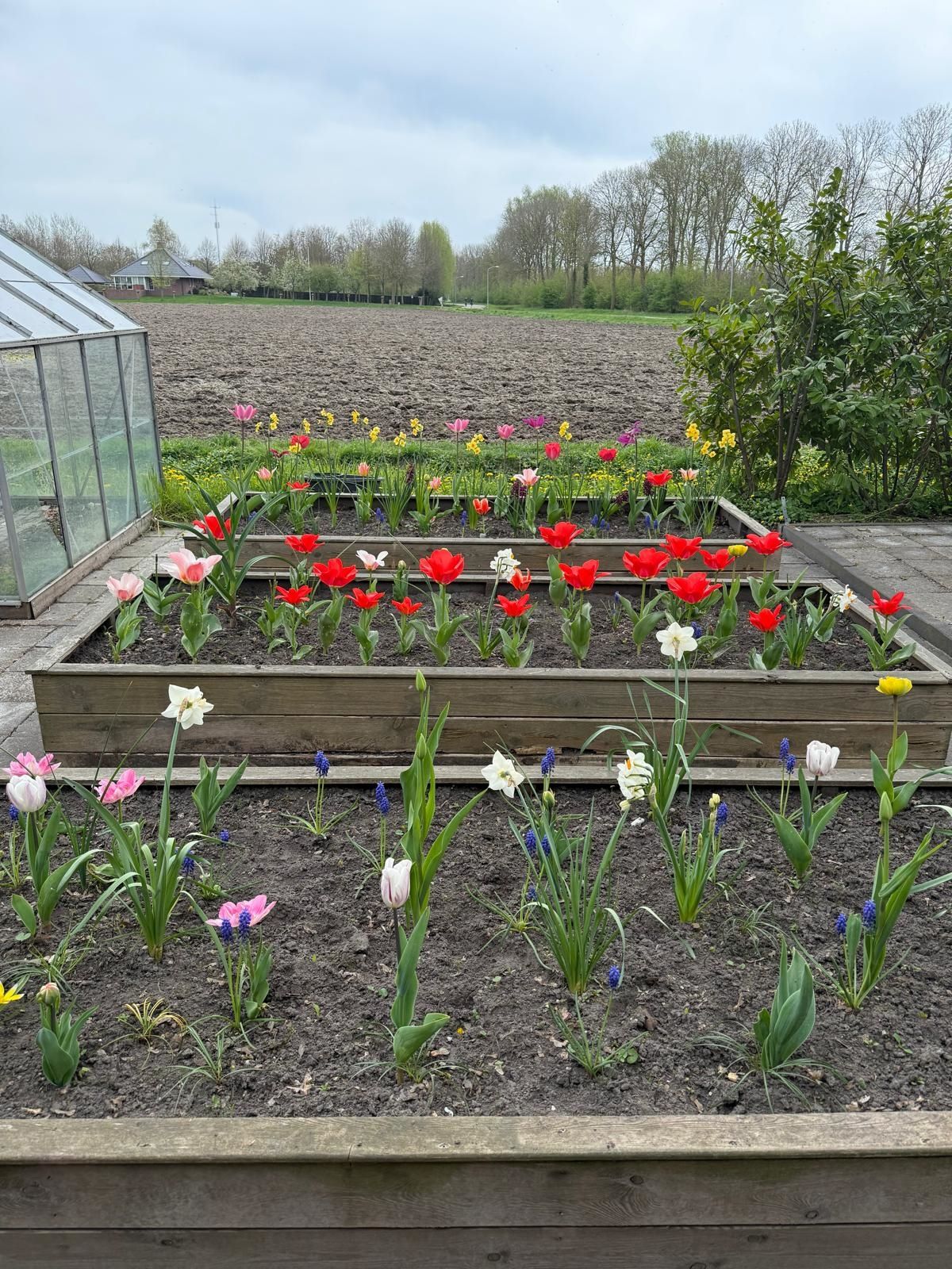 Foto 109 van Uithuizerweg 17