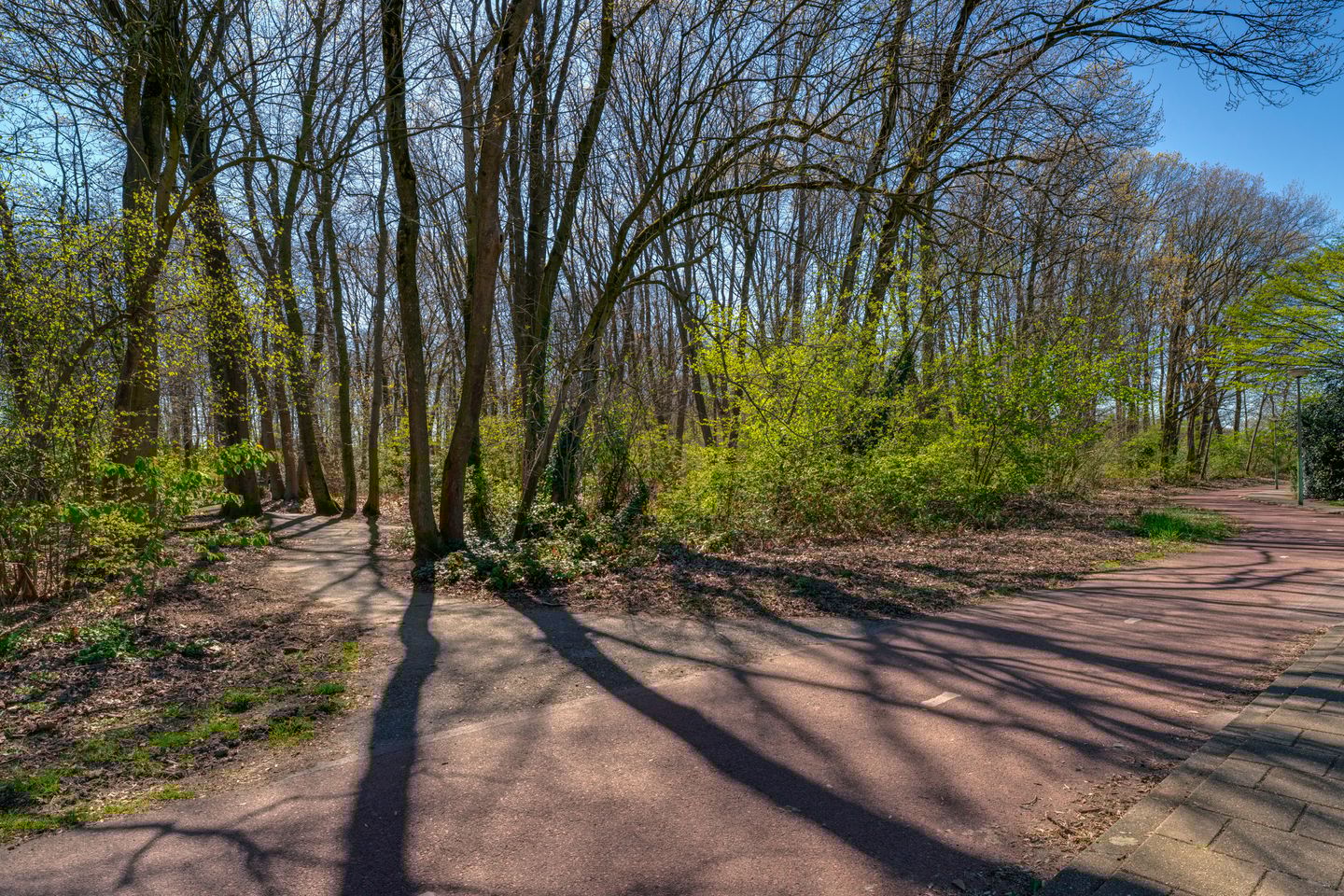 Foto 19 van Kronenland 1406