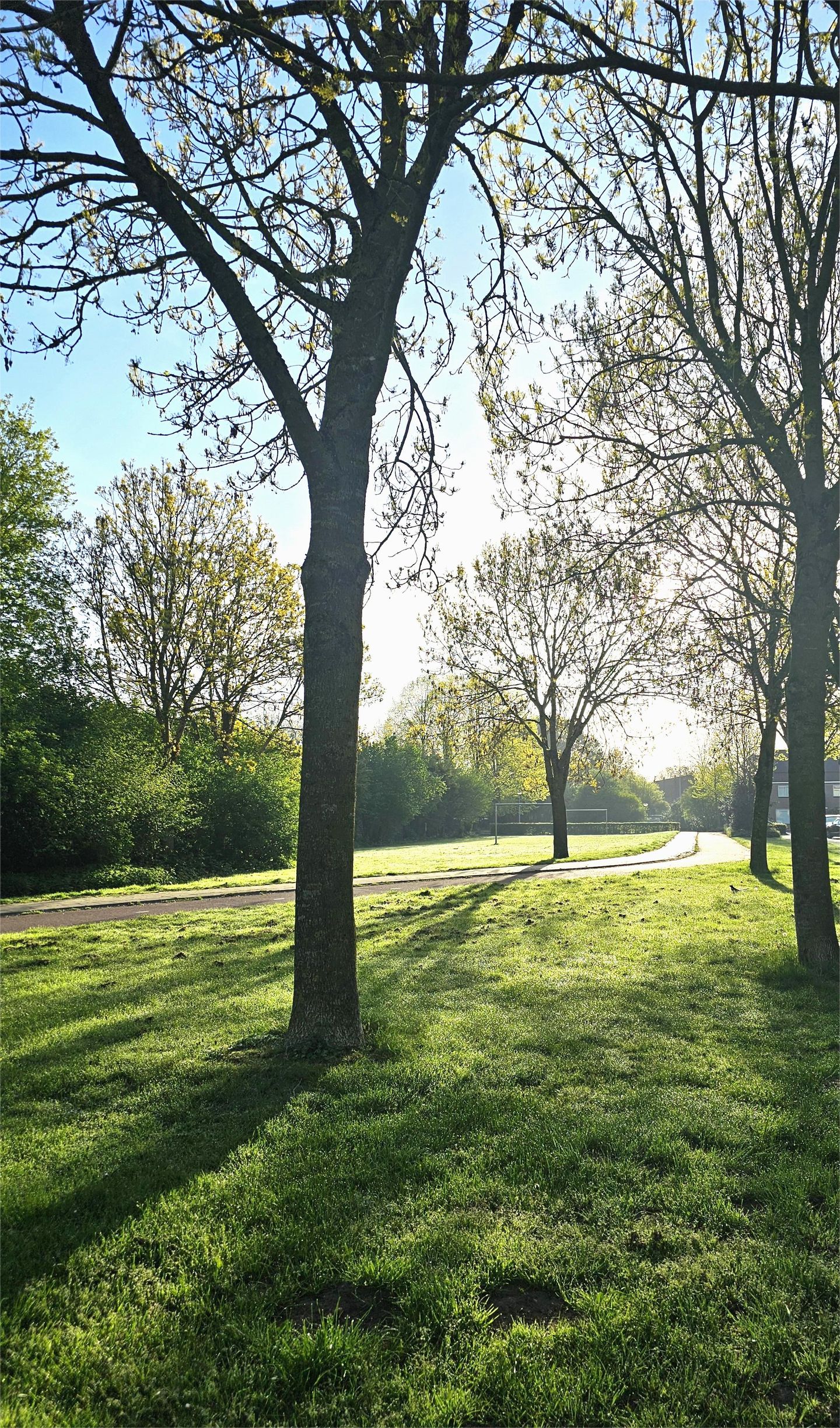 Foto 20 van Kronenland 1406