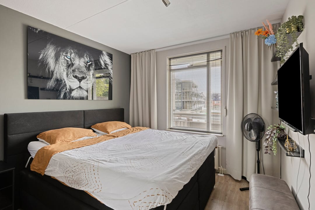 Photo 26 of Meijerijstraat 11