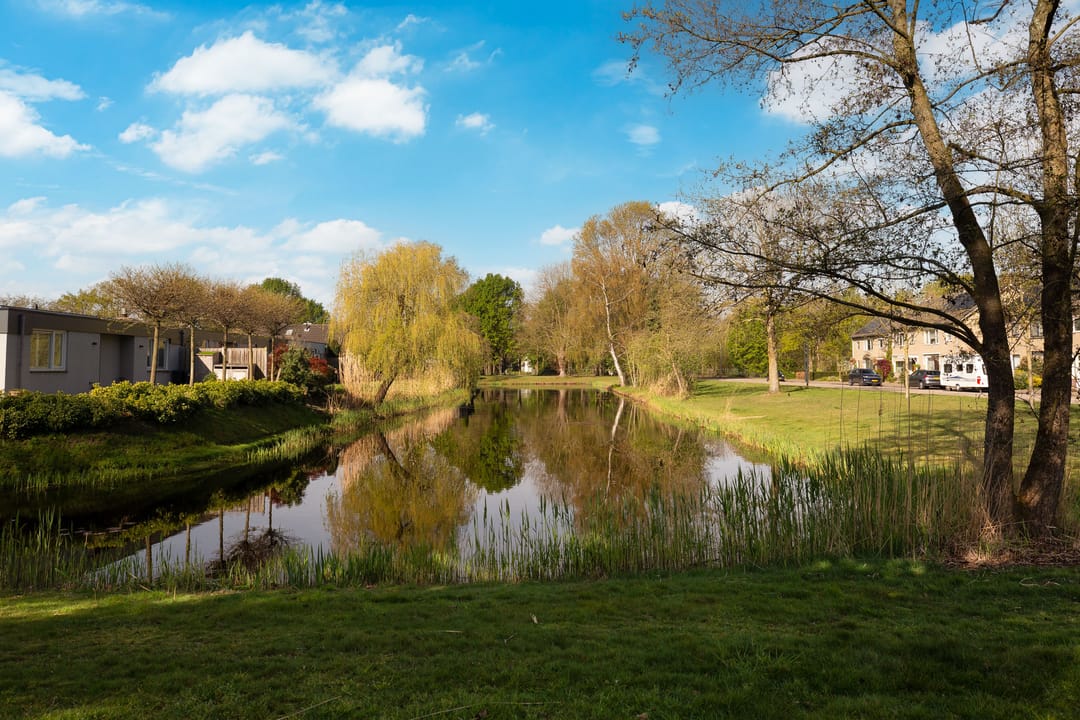 Photo 46 of Kempenlandlaan 19