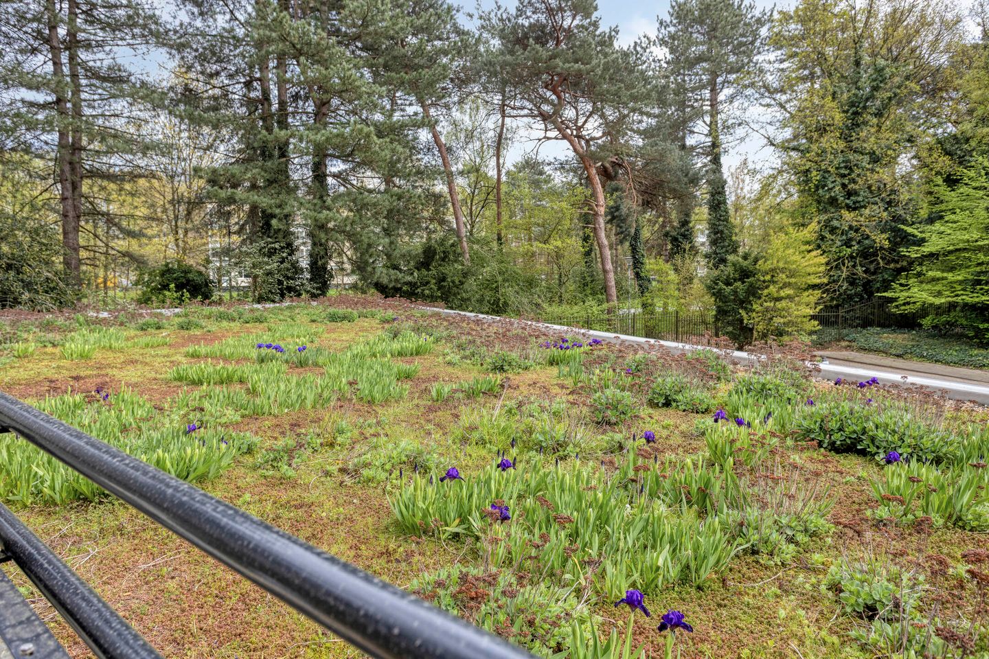 Foto 20 van Magentahof 1