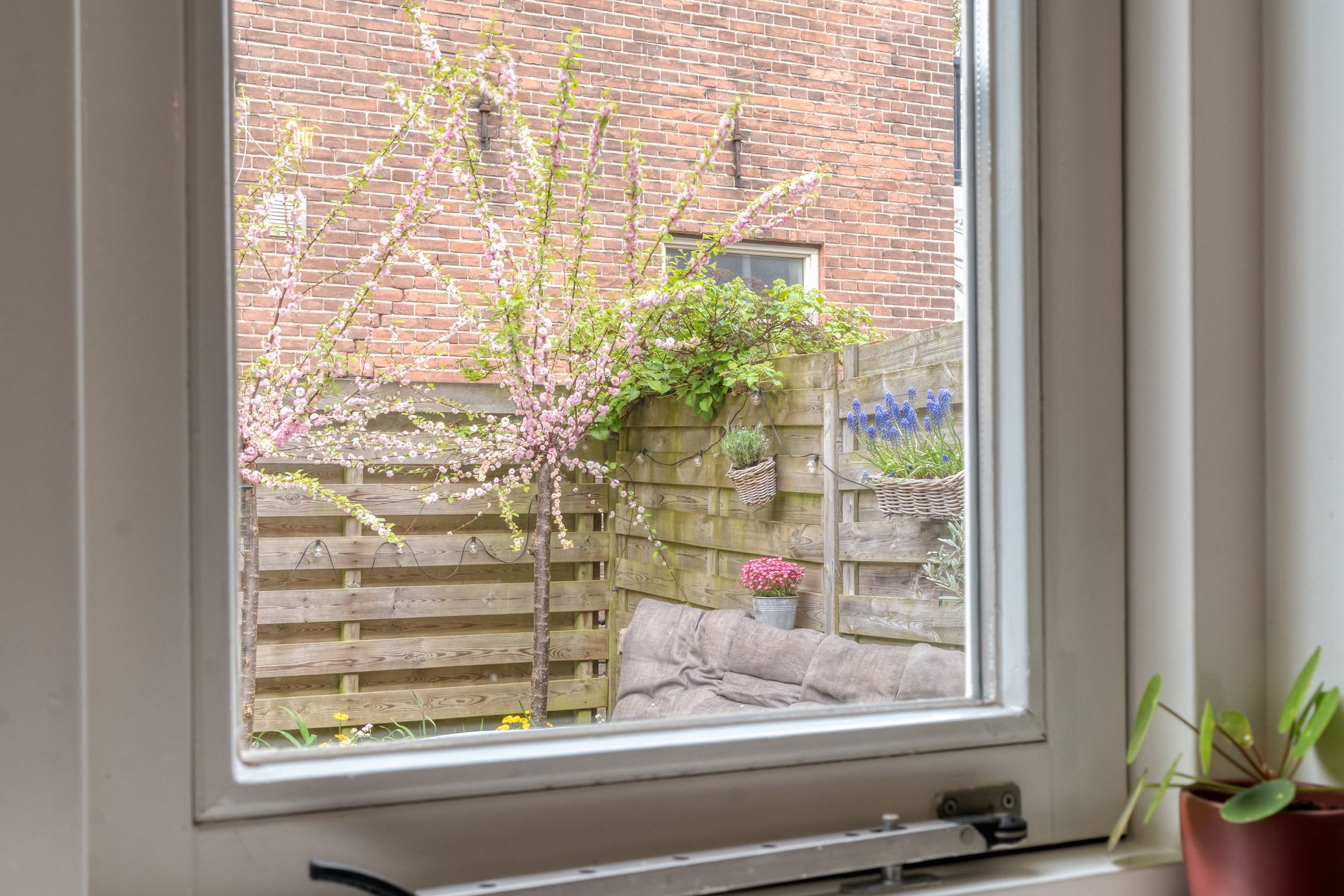 Foto 12 van Eendrachtstraat 76