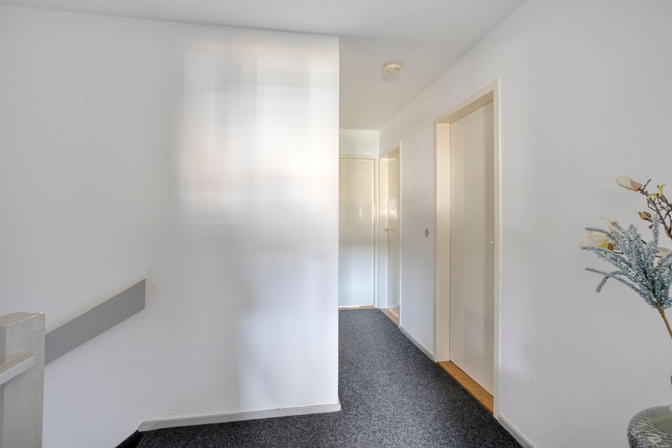 Photo 24 of Vogelwikke 11