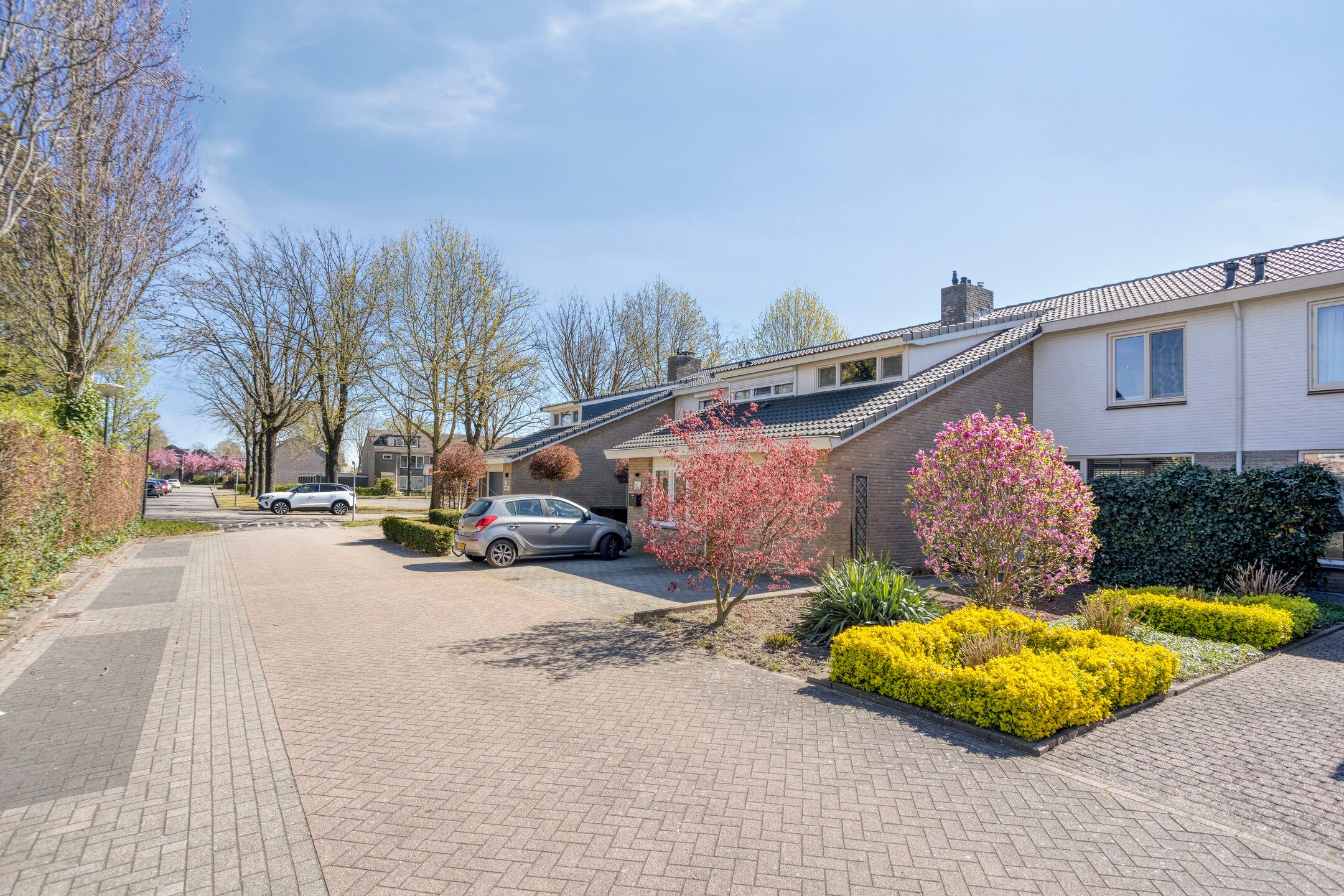 Photo 39 of Vogelwikke 11