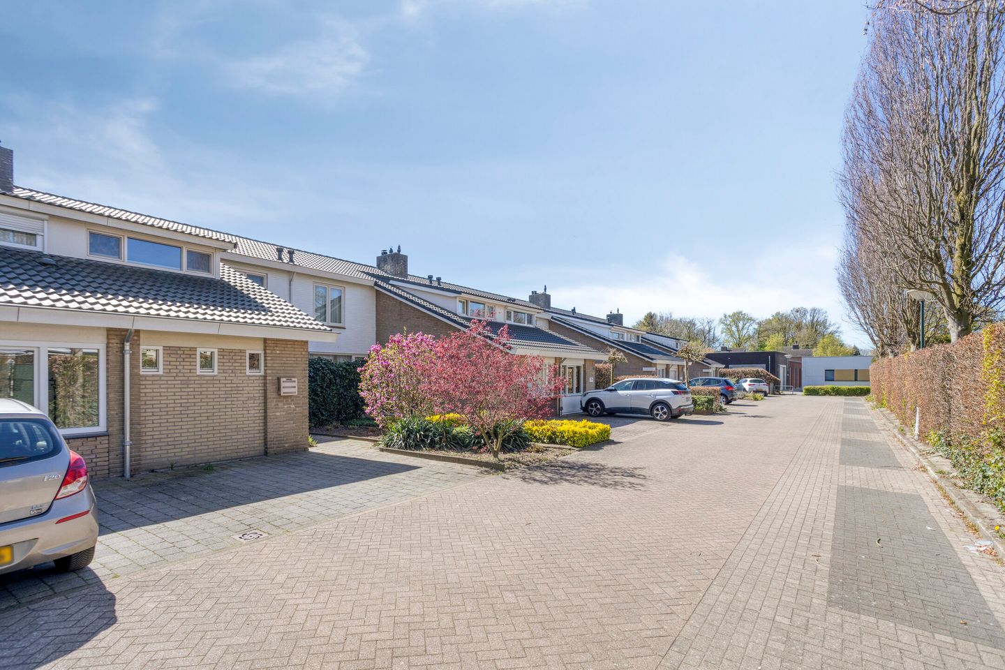 Photo 40 of Vogelwikke 11