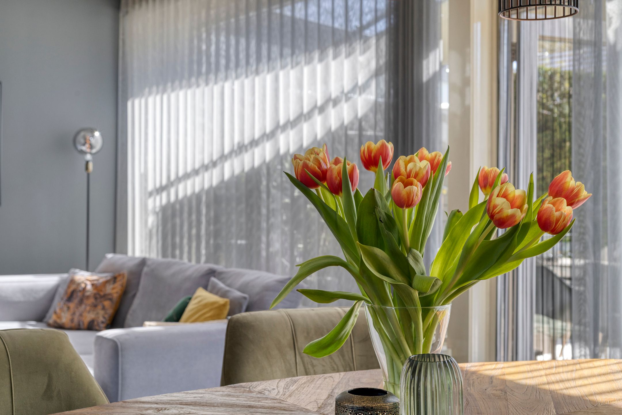 Photo 12 of Vogelwikke 11