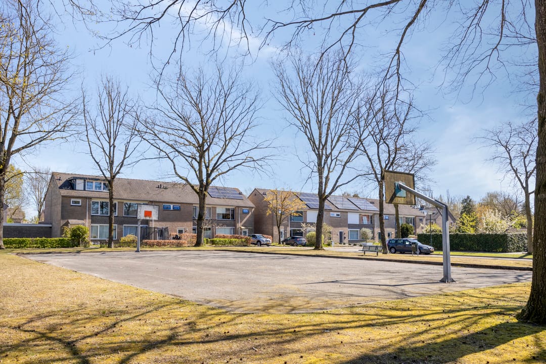 Photo 41 of Vogelwikke 11