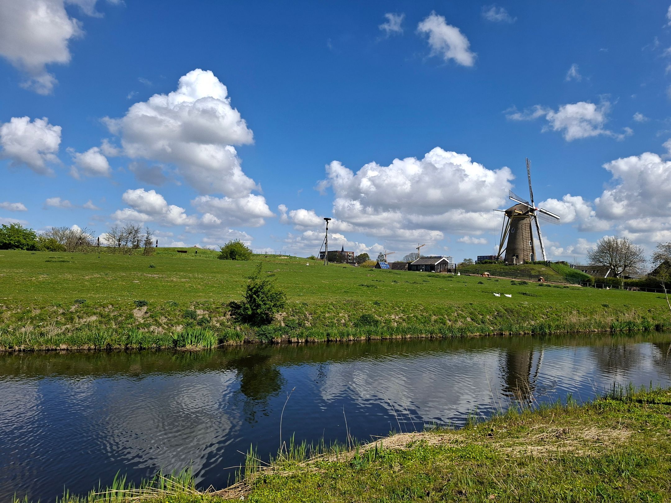 Foto 27 van Pater Damiaanstraat 95