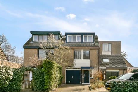 Pater Damiaanstraat thumbnail