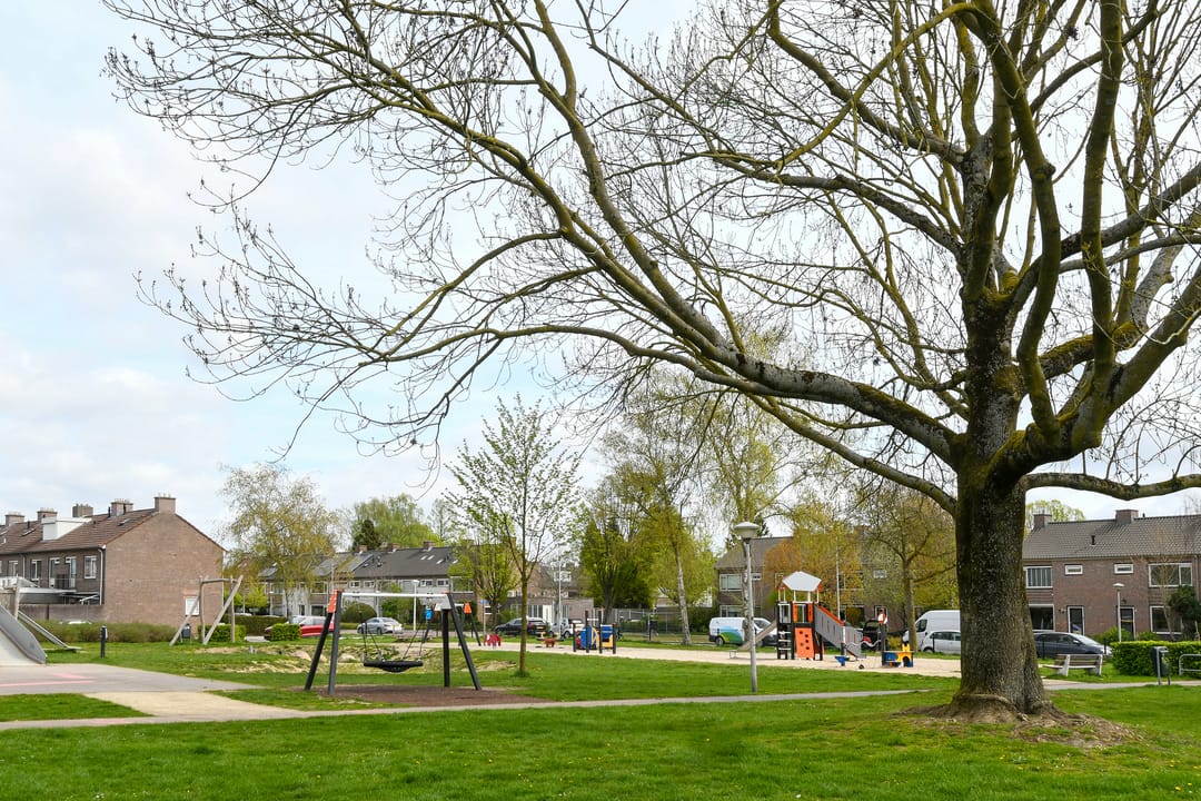 Photo 32 of Hendrik Mandestraat 6