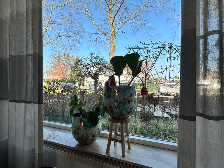 Photo 5 of Valkenierstraat 96