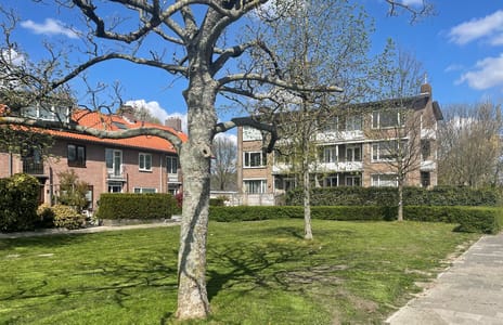 Plesmanlaan thumbnail