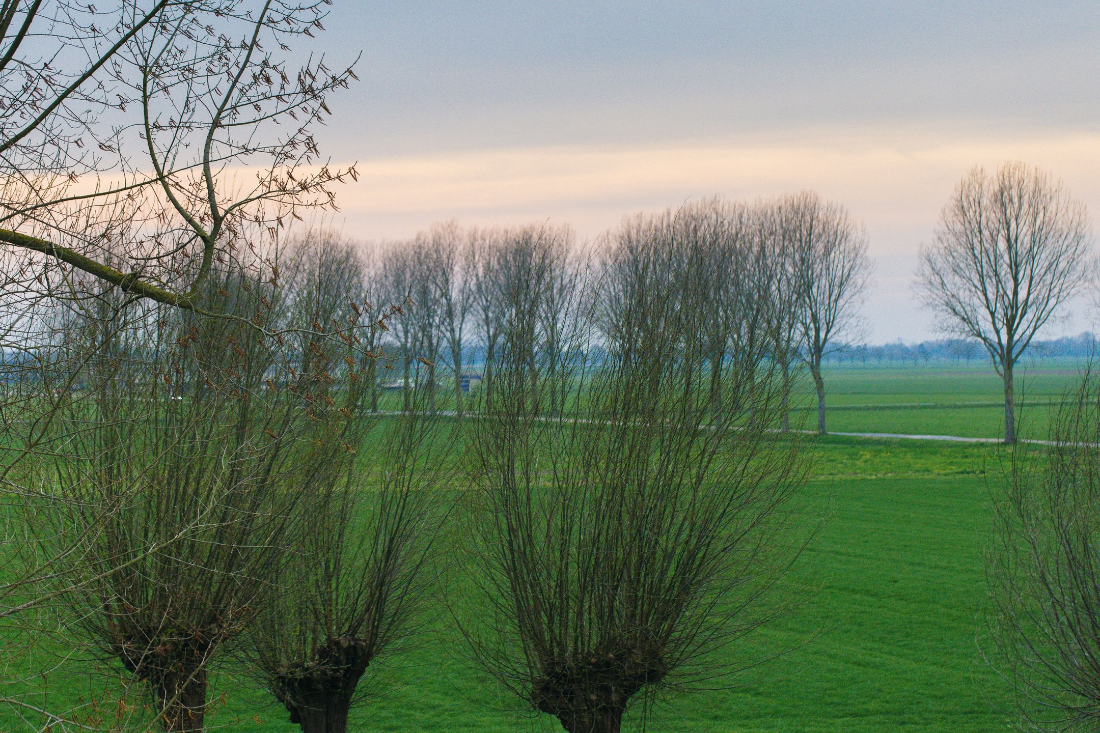 Foto 15 van Beeckendael 26