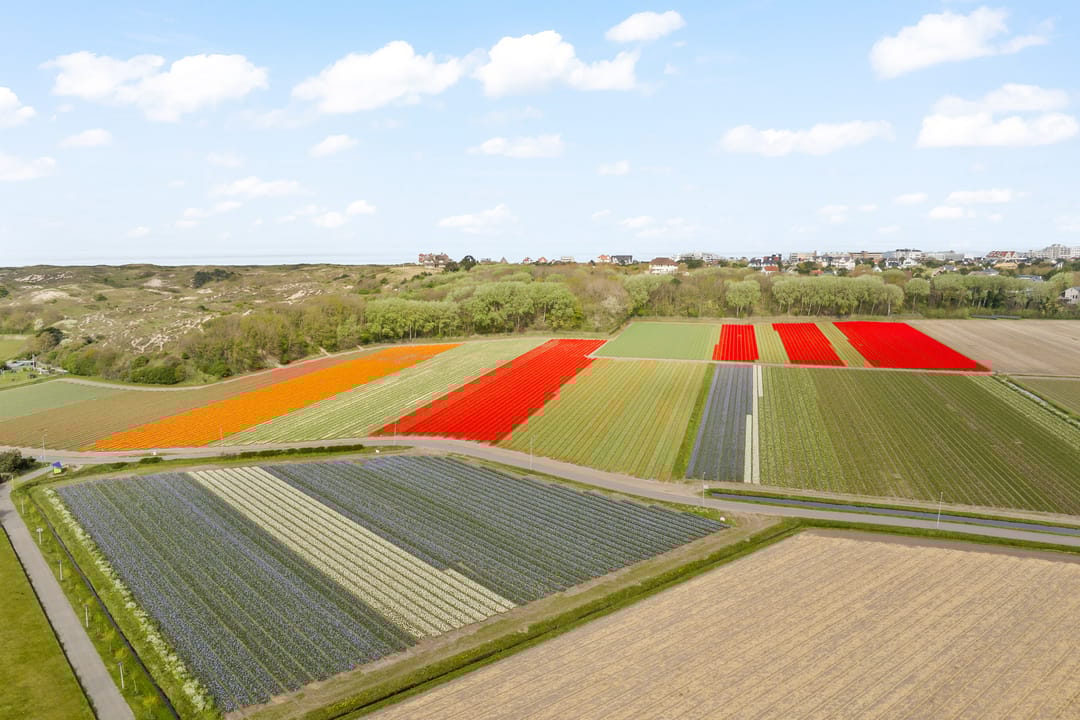 Foto 2 van Hoogtij 185