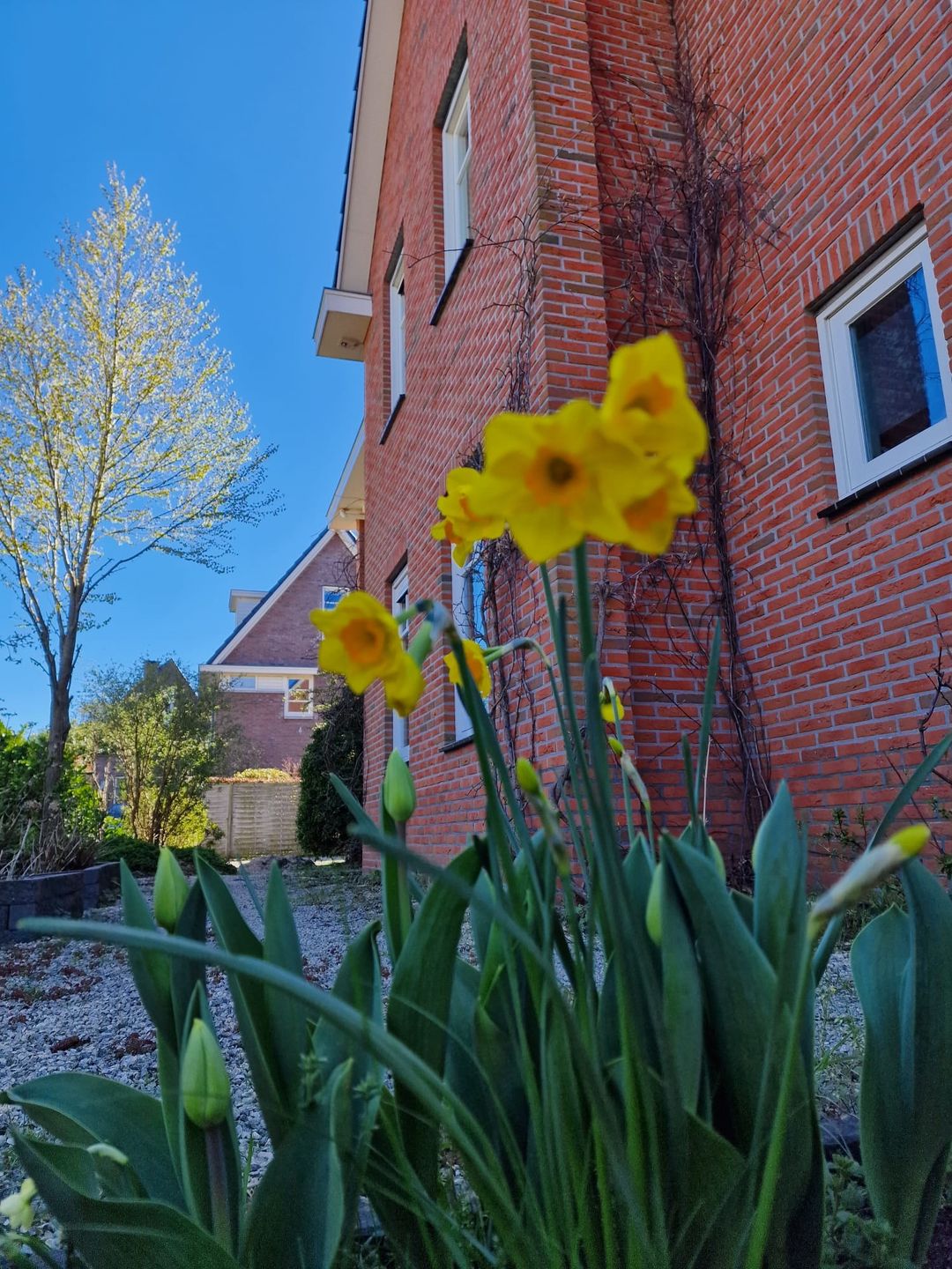 Foto 53 van Tedingerbroekweg 13