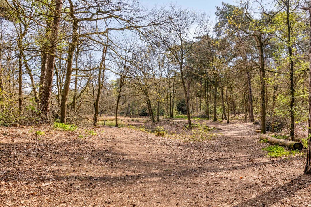 Foto 41 van Ansbalduslaan 32