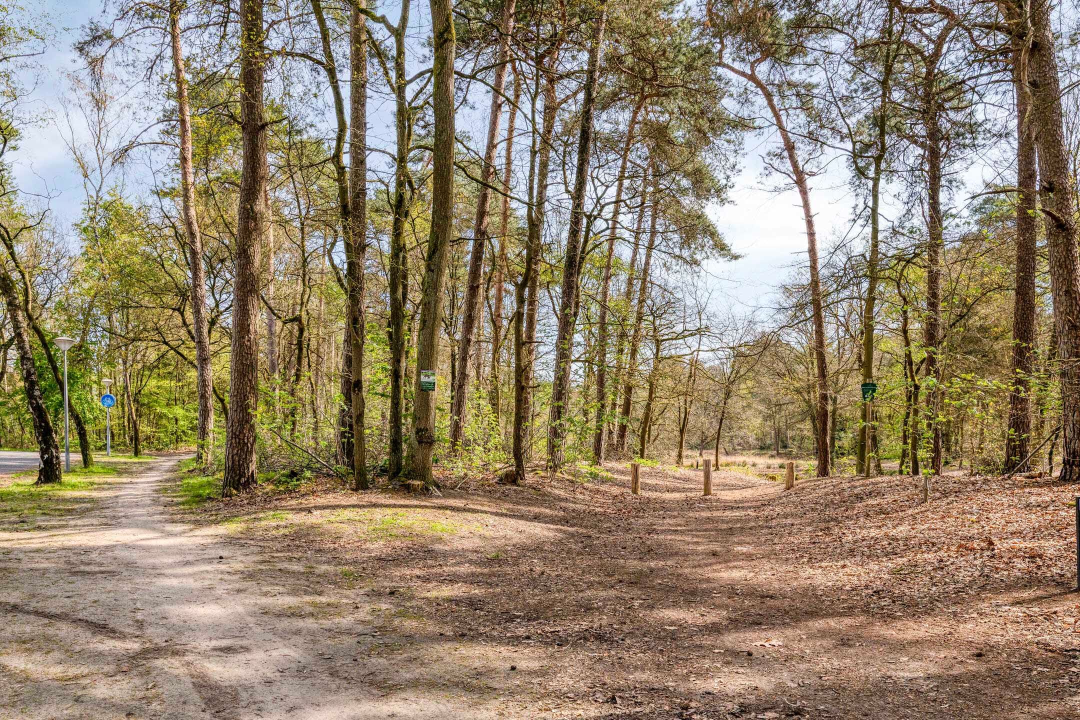 Foto 42 van Ansbalduslaan 32