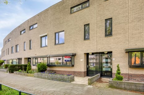 Riviergrondel thumbnail