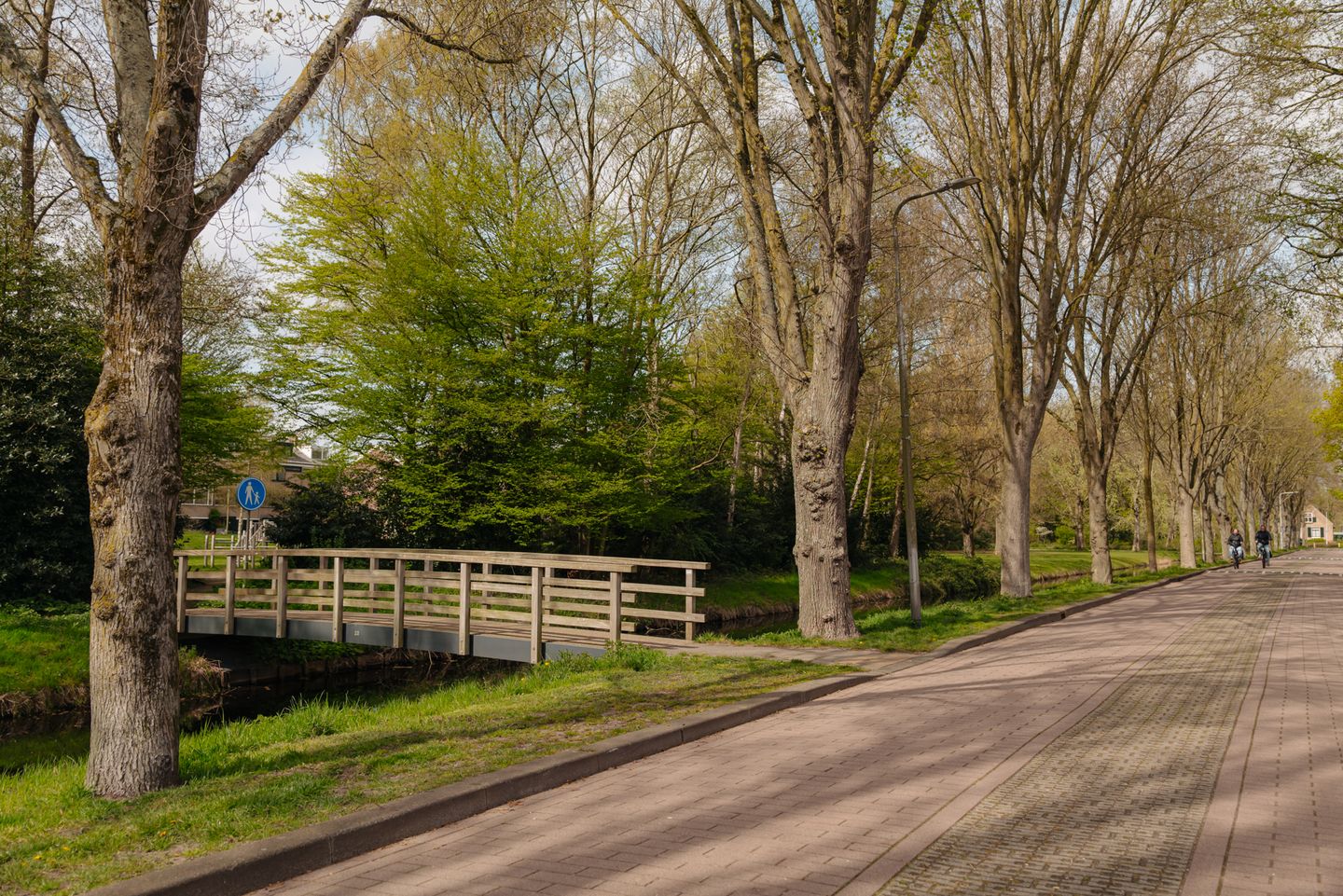 Photo 40 of Dijkgraafstraat 14