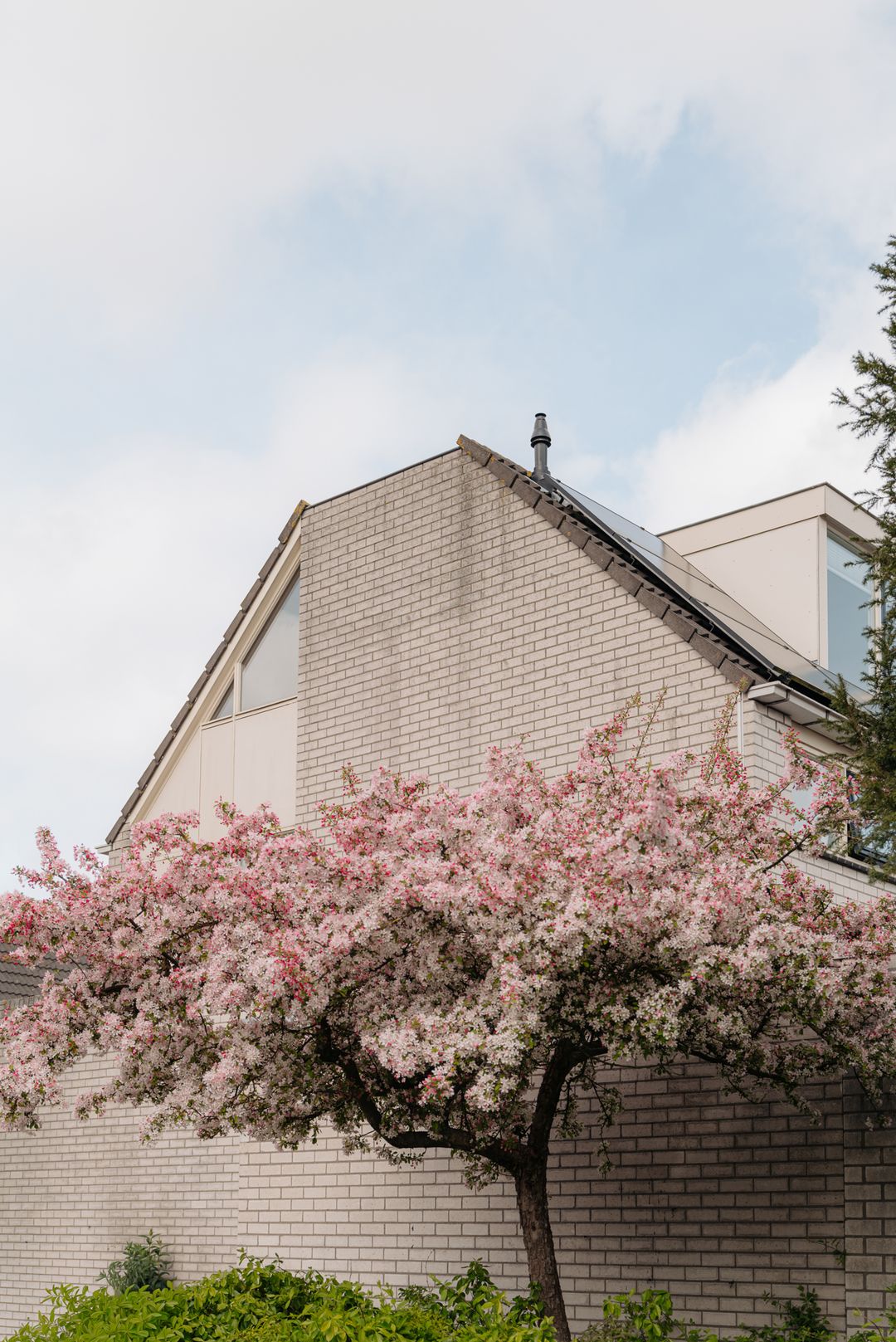 Photo 37 of Dijkgraafstraat 14