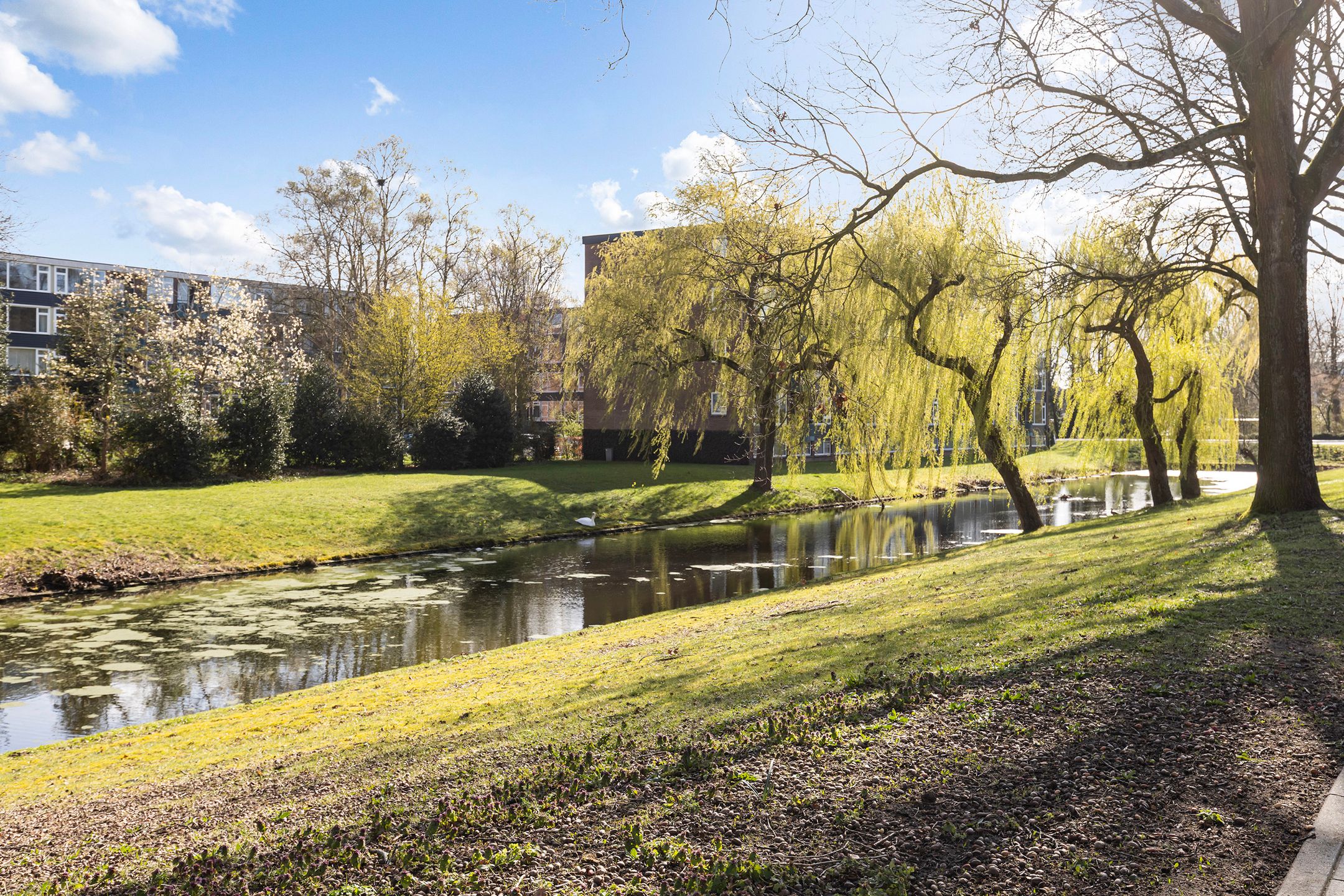 Foto 33 van Margijnenenk 189