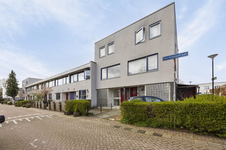 Foto 2 van Hortensiastraat 53
