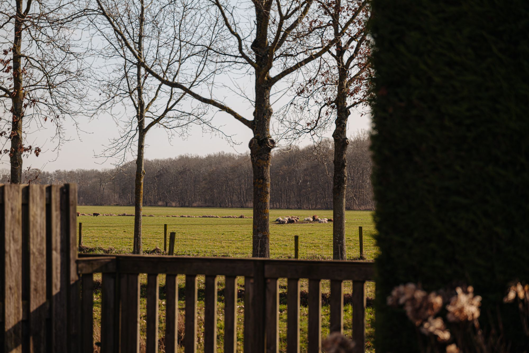 Foto 15 van Papewegse Hof 4