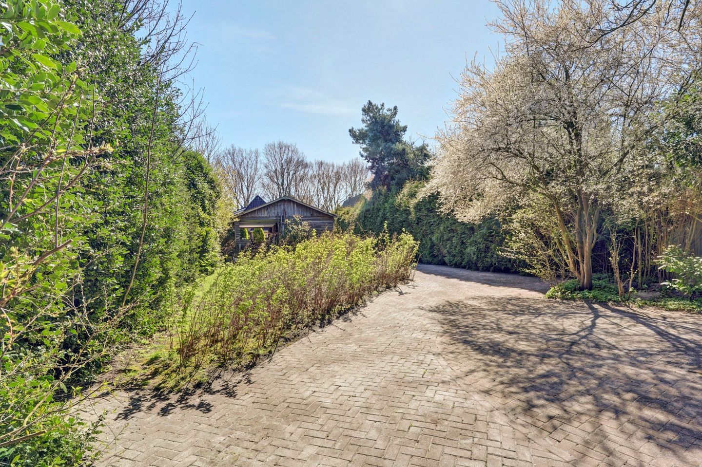 Foto 4 van Weerdingerkanaal NZ 56