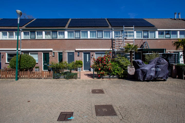 Kamelenspoor 111 main image