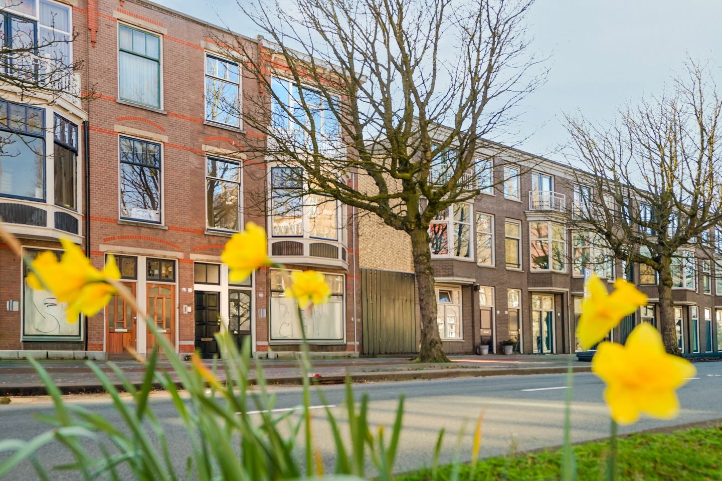 Foto 64 van Koningin Emmakade 33