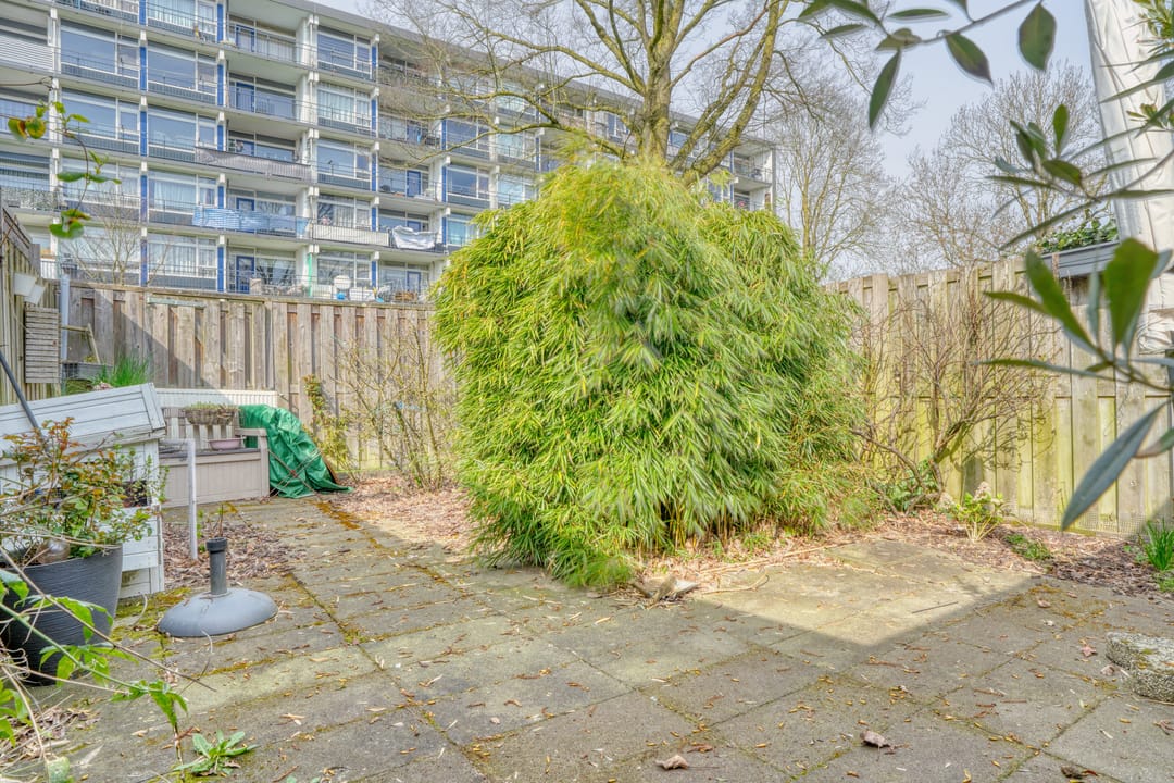 Foto 23 van Nachtegaalstraat 13