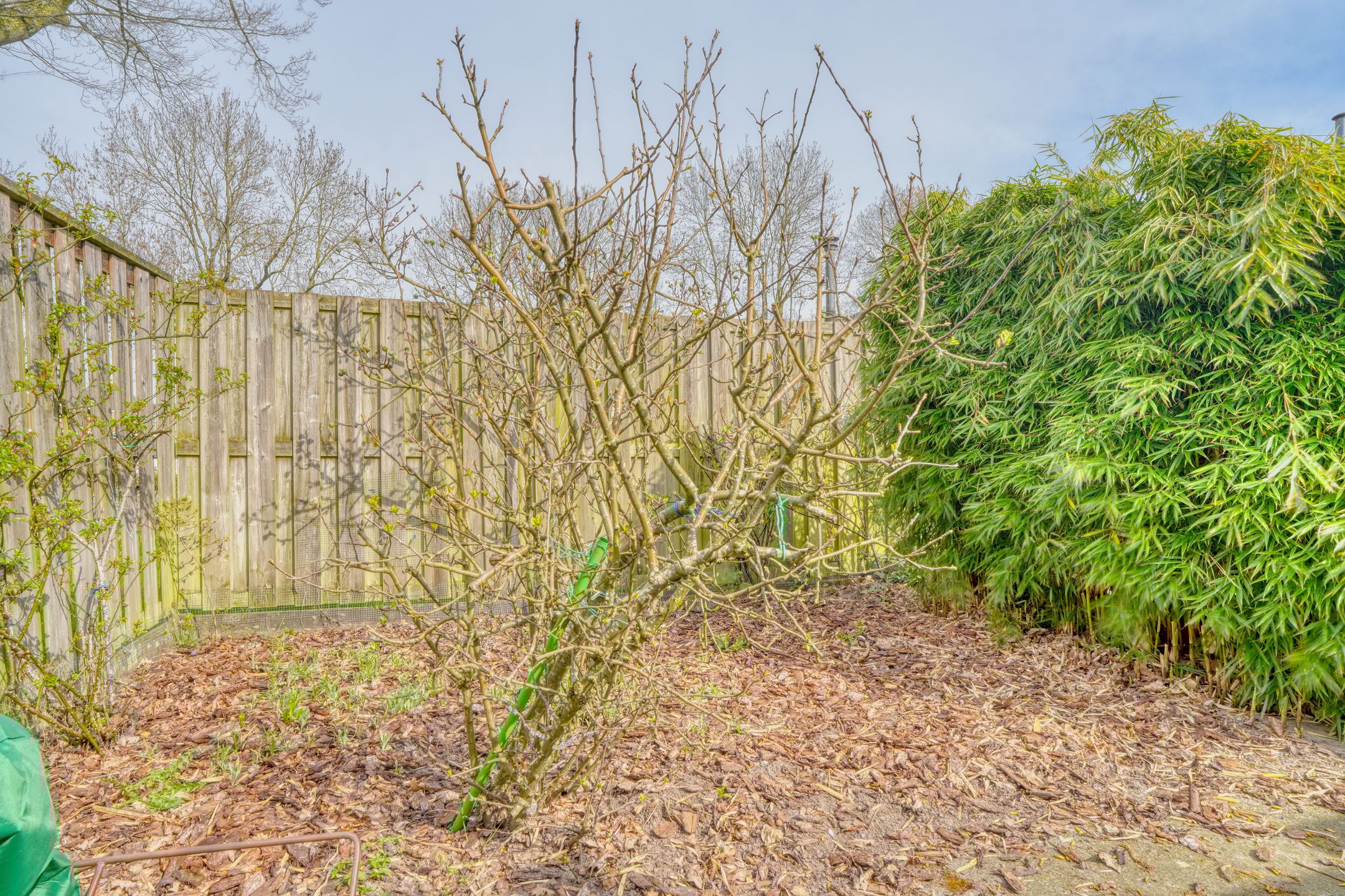 Foto 24 van Nachtegaalstraat 13