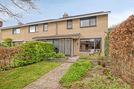 undefined main image