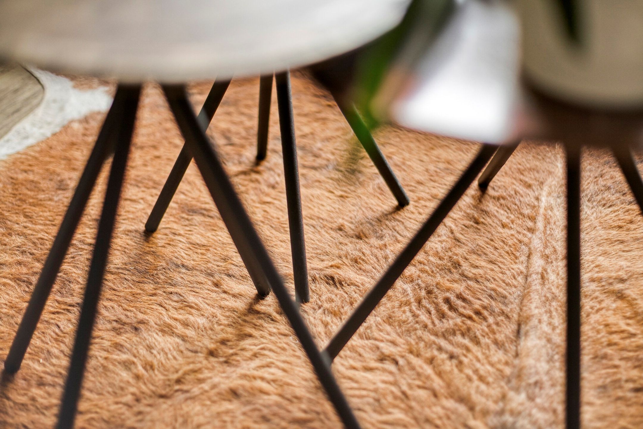 Foto 33 van Waterklaver 21