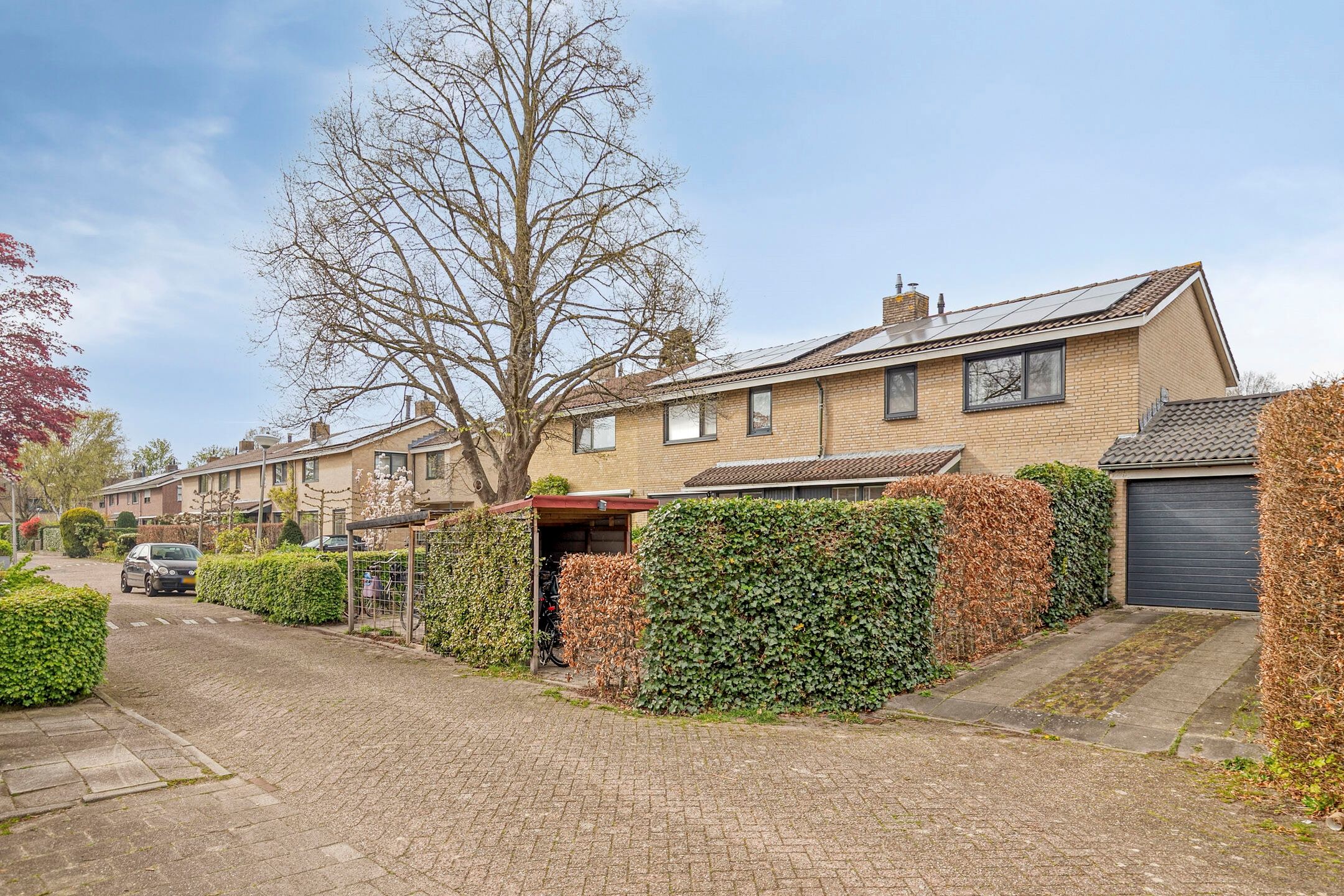 Foto 27 van Waterklaver 21