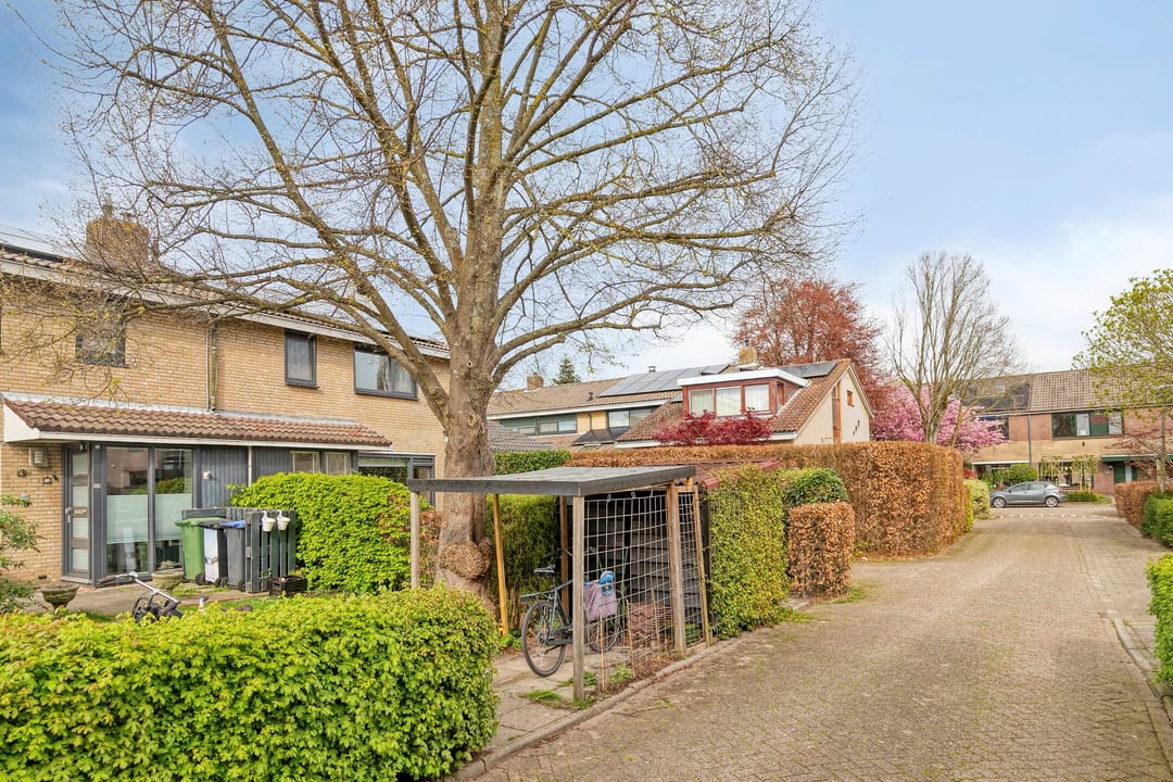 Foto 2 van Waterklaver 21